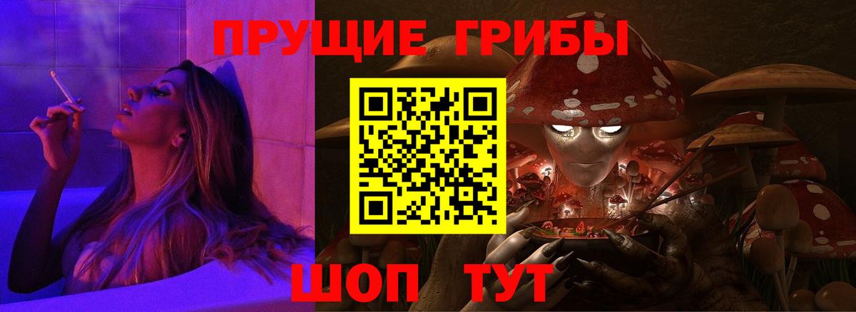 Галлюциногенные грибы Psilocybine cubensis Волгодонск