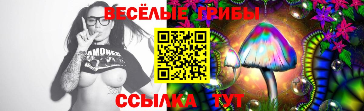 Волгодонск  Псилоцибиновые грибы прущие грибы  цена наркотик  Галлюциногенные грибы Psilocybine cubensis  Вход с VPN 